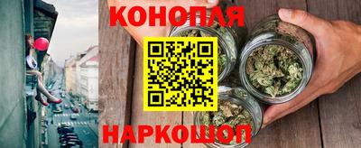 МДПВ Гатчина
