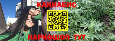 хмурый Гай