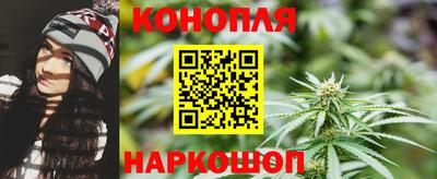 МДПВ Гатчина
